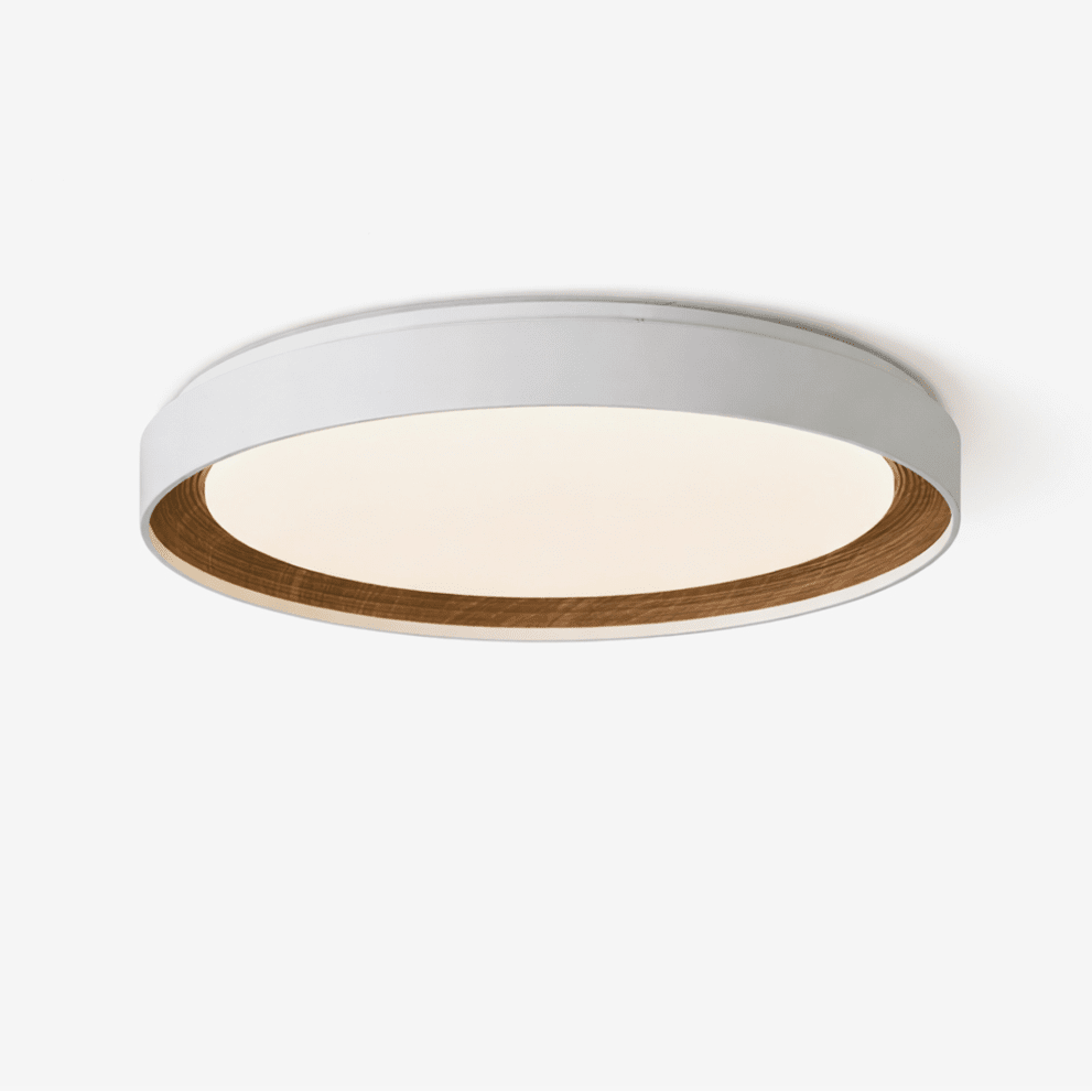 White Ceiling Light for Living Room — Ceiling Light | Maison Monashee