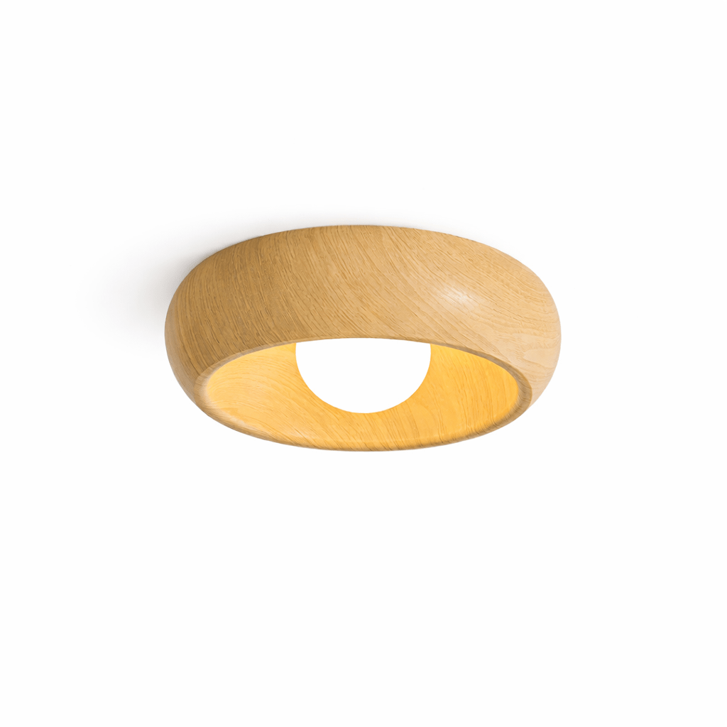 Ring Light Fixture — Ceiling Light | Maison Monashee — view 6