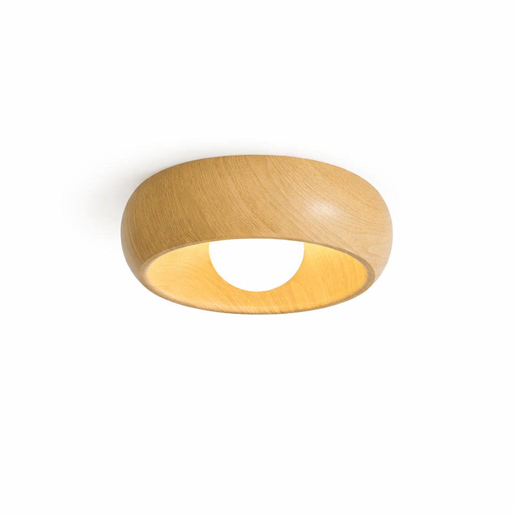 Ring Light Fixture — Ceiling Light | Maison Monashee — view 7