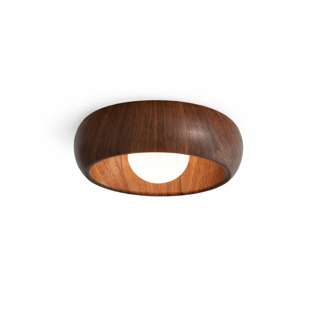 Ring Light Fixture — Ceiling Light | Maison Monashee — view 8