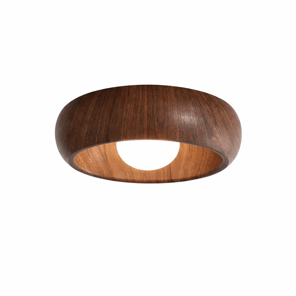 Ring Light Fixture — Ceiling Light | Maison Monashee — view 9