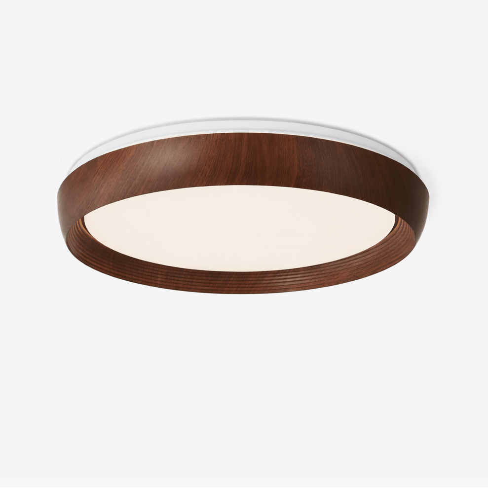 LED Ring Light Fixture — Ceiling Light | Maison Monashee