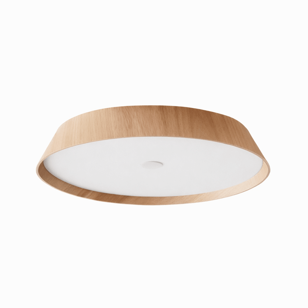 Modern Kitchen Light Fixture — Ceiling Light | Maison Monashee — view 5
