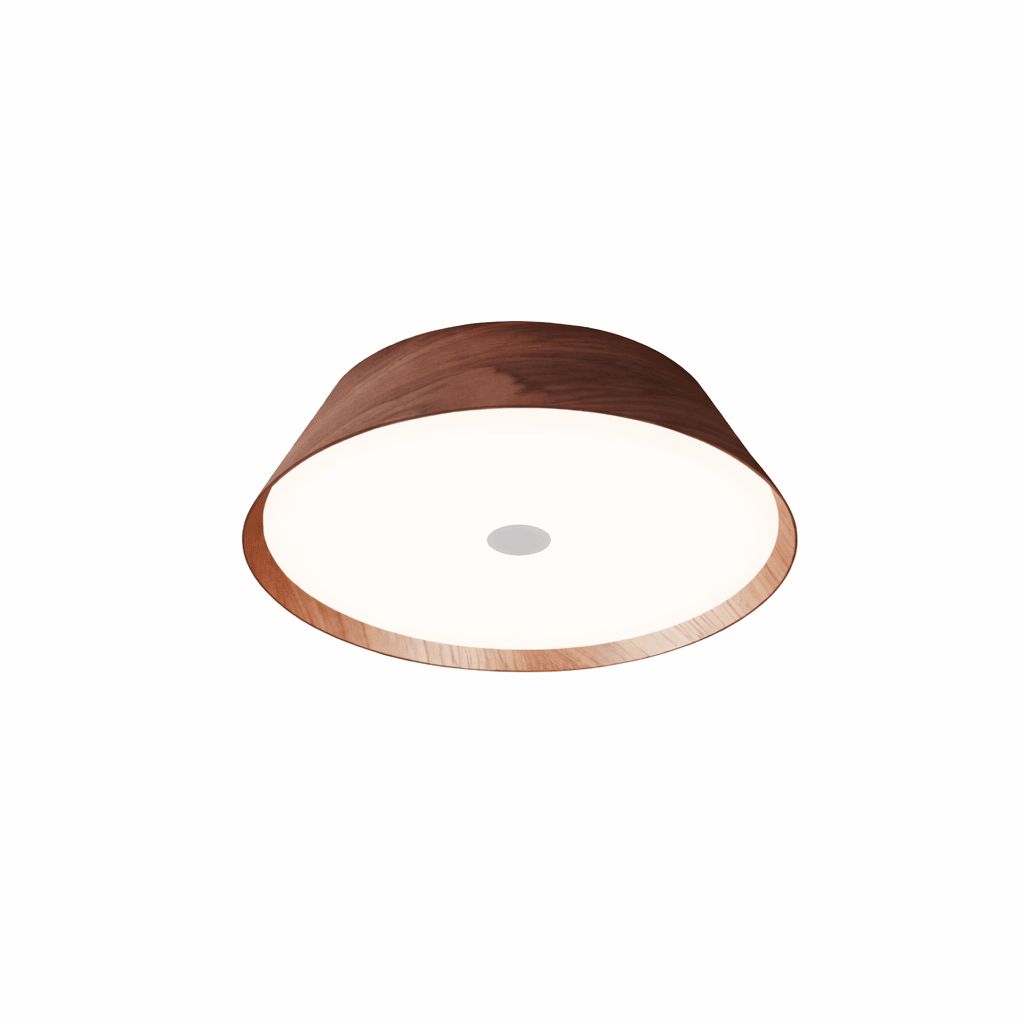 Modern Kitchen Light Fixture — Ceiling Light | Maison Monashee — view 9