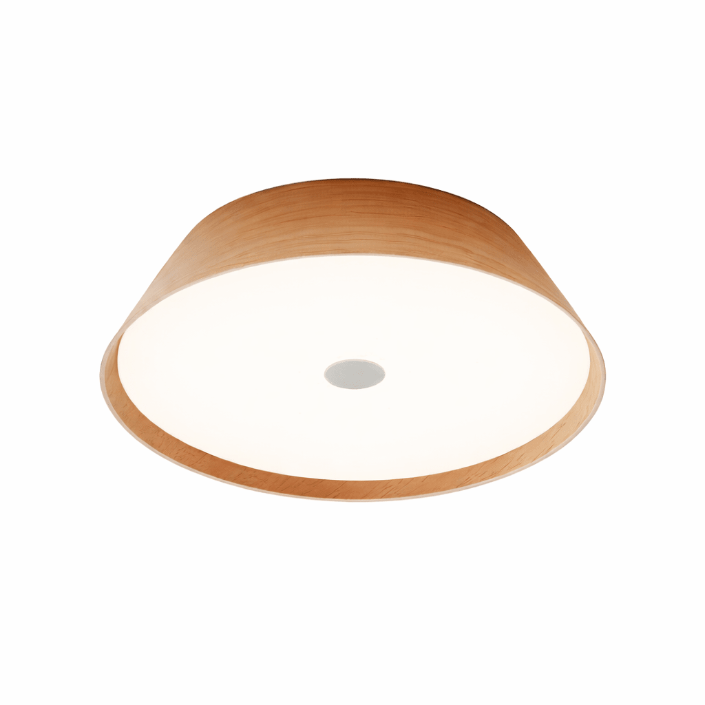 Modern Kitchen Light Fixture — Ceiling Light | Maison Monashee — view 10