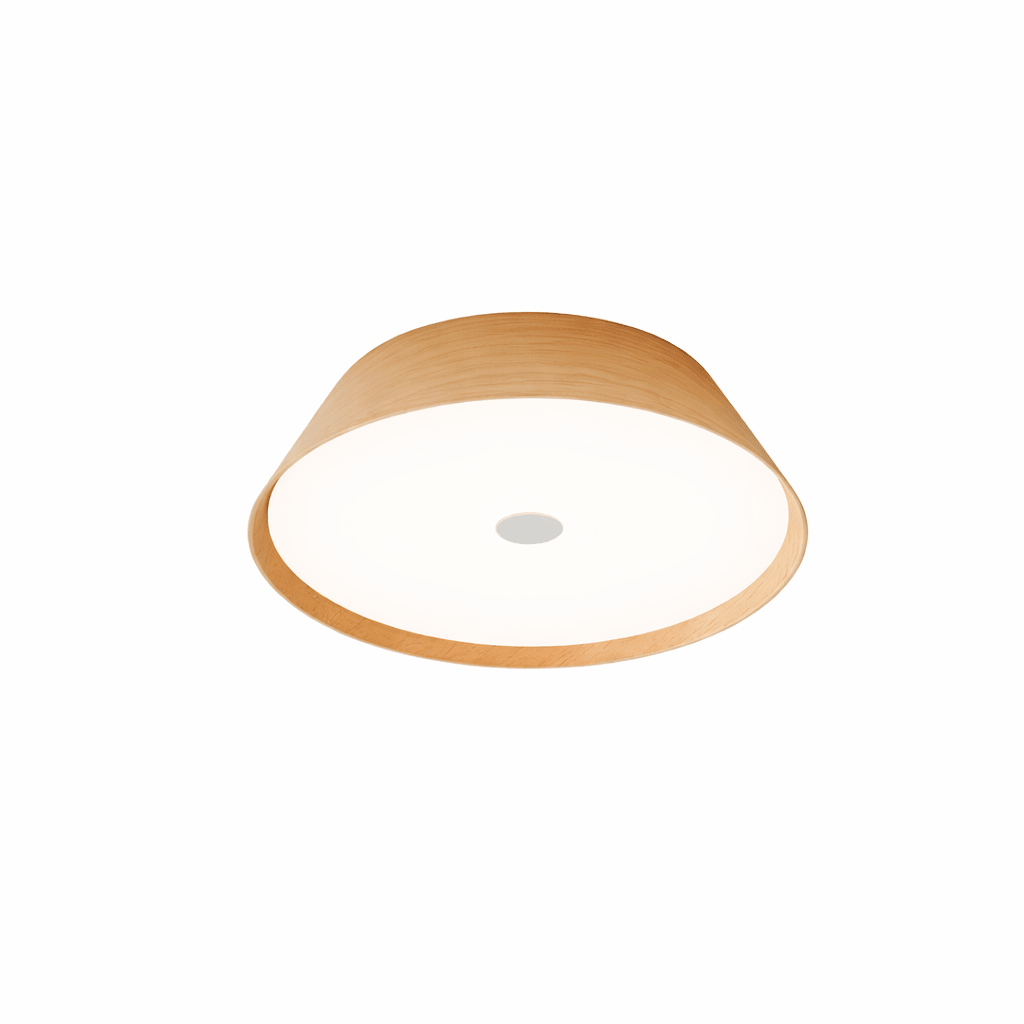Modern Kitchen Light Fixture — Ceiling Light | Maison Monashee — view 11