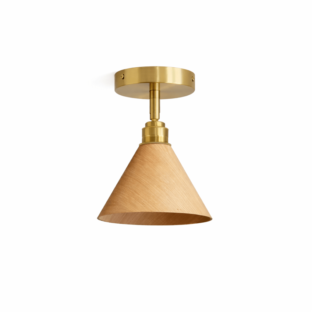 Cone Ceiling Light — Ceiling Light | Maison Monashee — view 8
