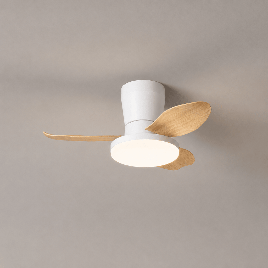Black Flush Mount Ceiling Fan with Light — Ceiling Fan | Maison Monashee — view 24