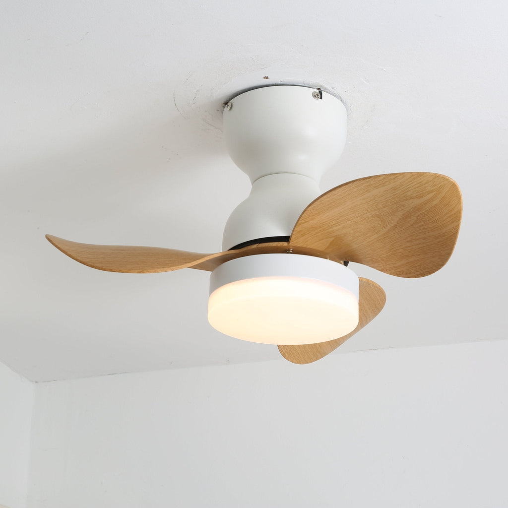 Black Flush Mount Ceiling Fan — Ceiling Fan | Maison Monashee — view 7