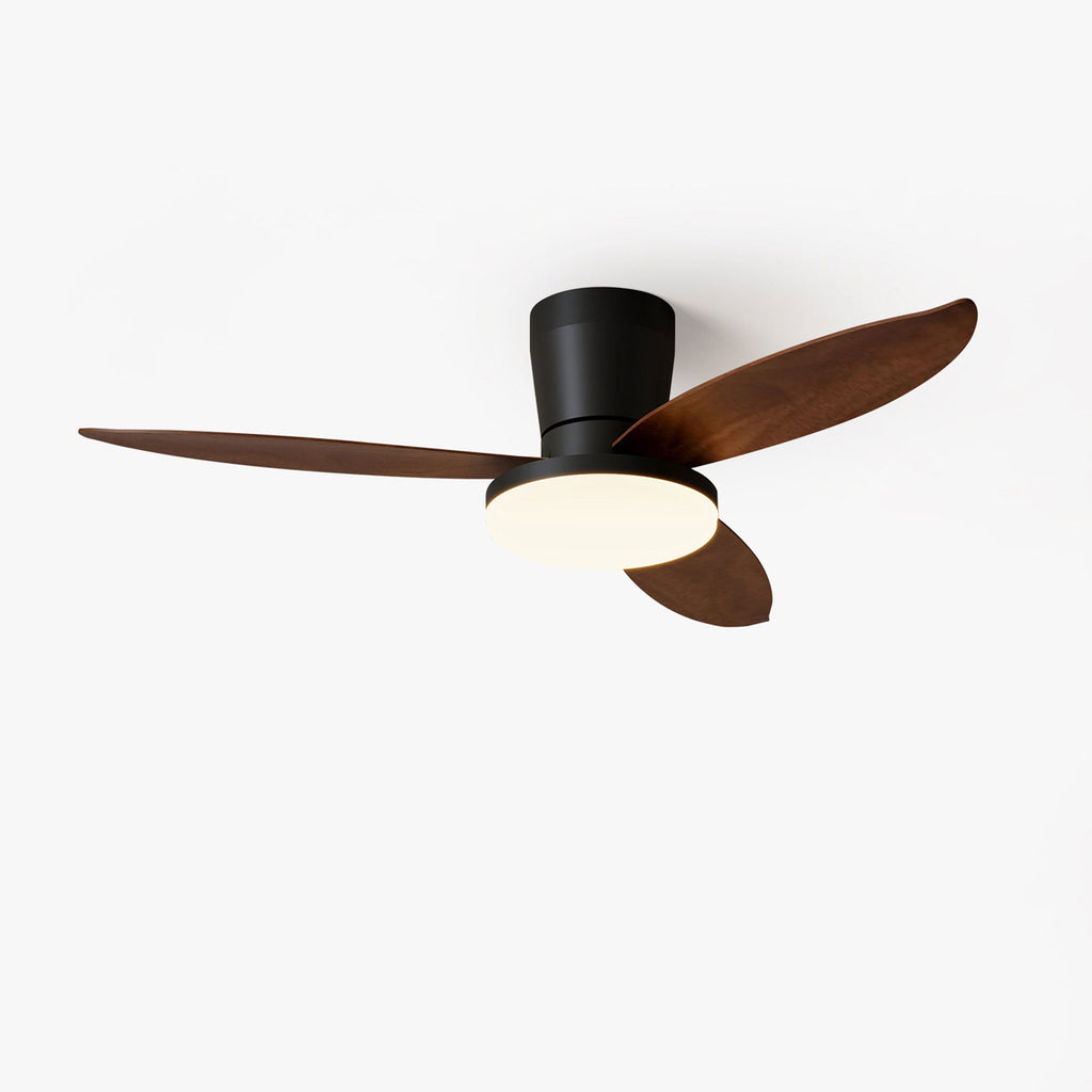 Black Flush Mount Ceiling Fan with Light — Ceiling Fan | Maison Monashee