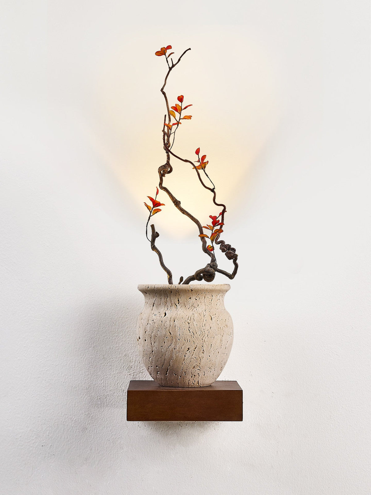 Tree Branch Sconce — Wall Sconce | Maison Monashee — view 8