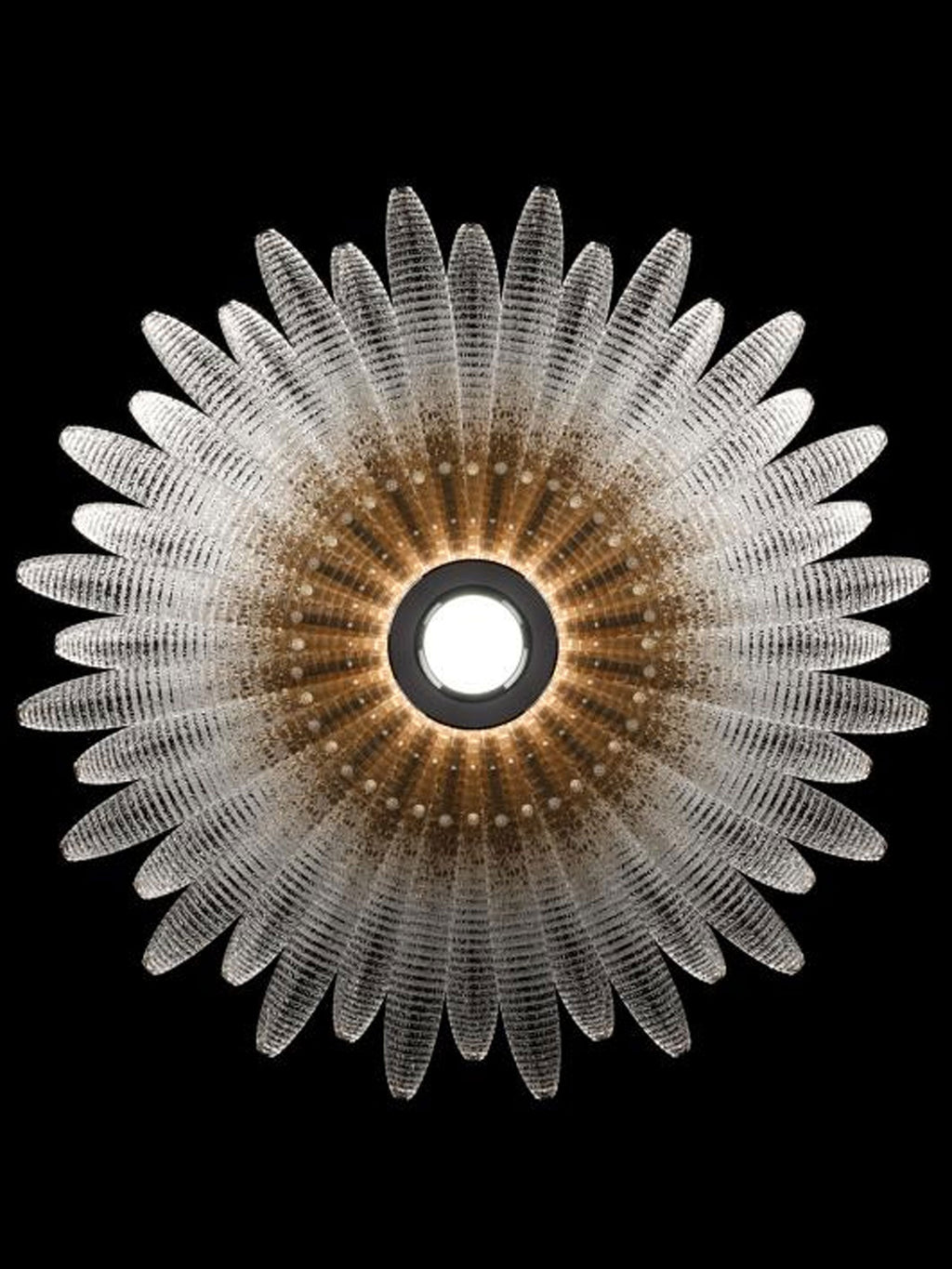 Glass Petal Chandelier — Chandelier | Maison Monashee — view 17