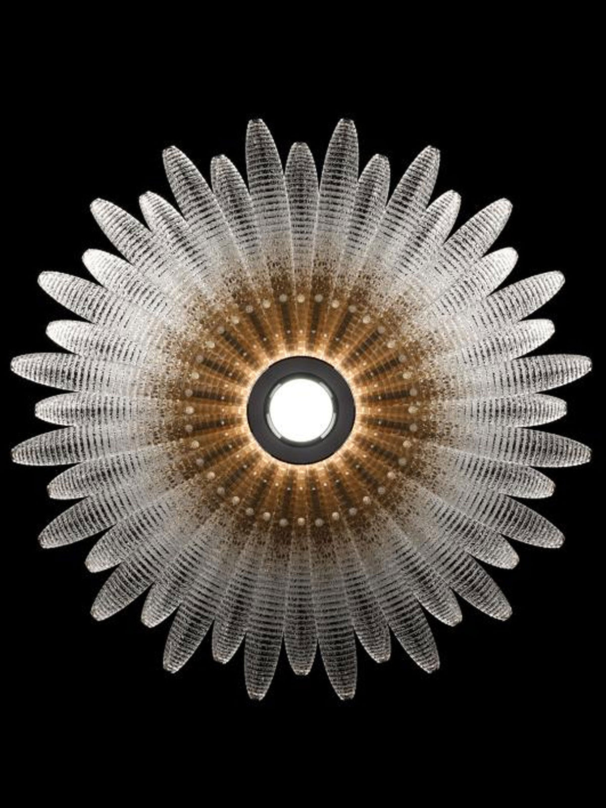 Glass Petal Chandelier — Chandelier | Maison Monashee — view 17