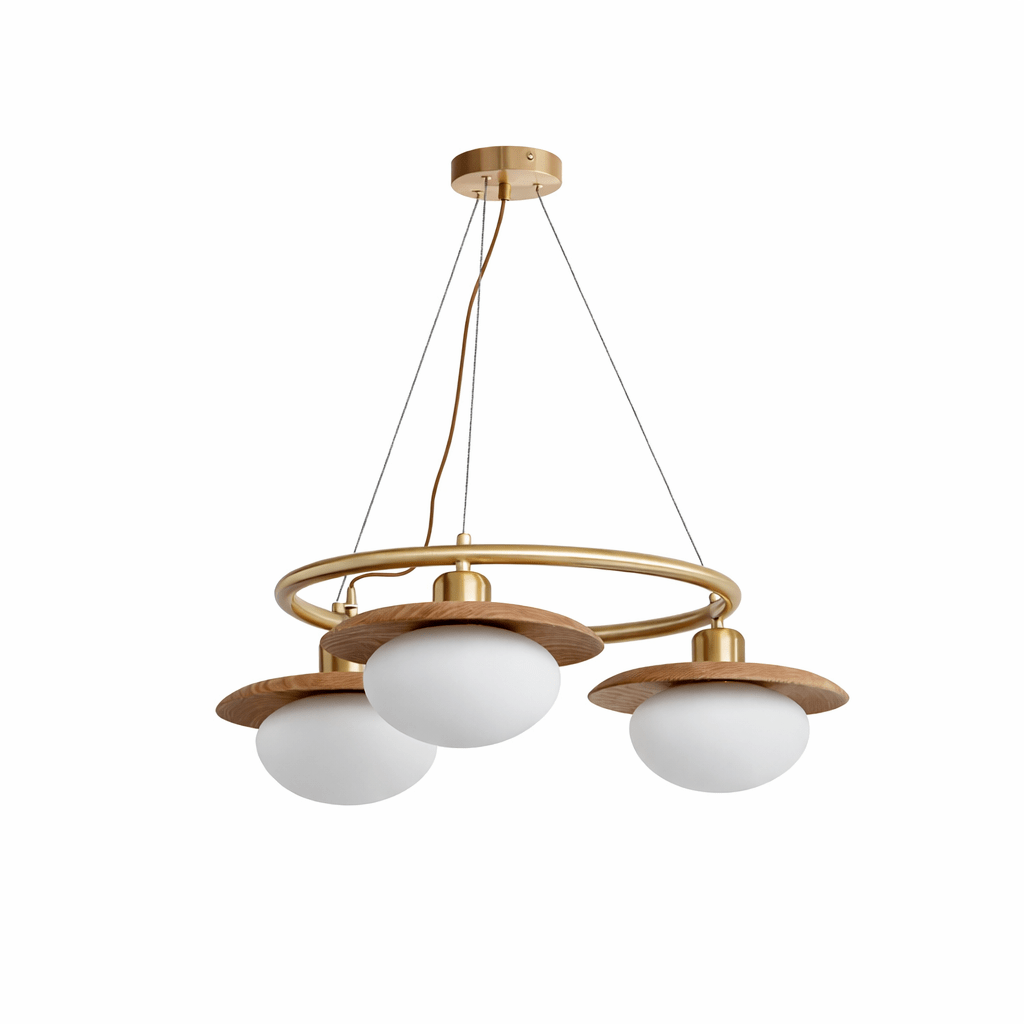 Halo Ring Chandelier — Chandelier | Maison Monashee — view 5