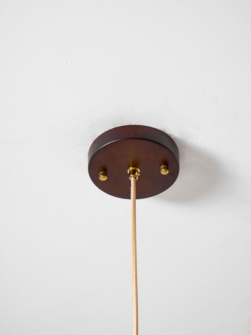 Vintage Pendant Light — Pendant Light | Maison Monashee — view 16