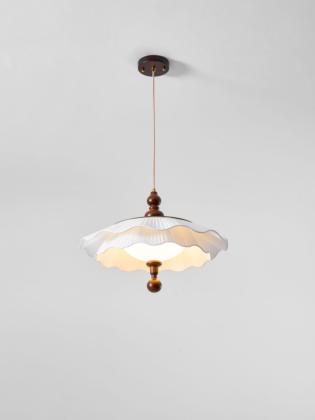 Vintage Pendant Light — Pendant Light | Maison Monashee — view 20