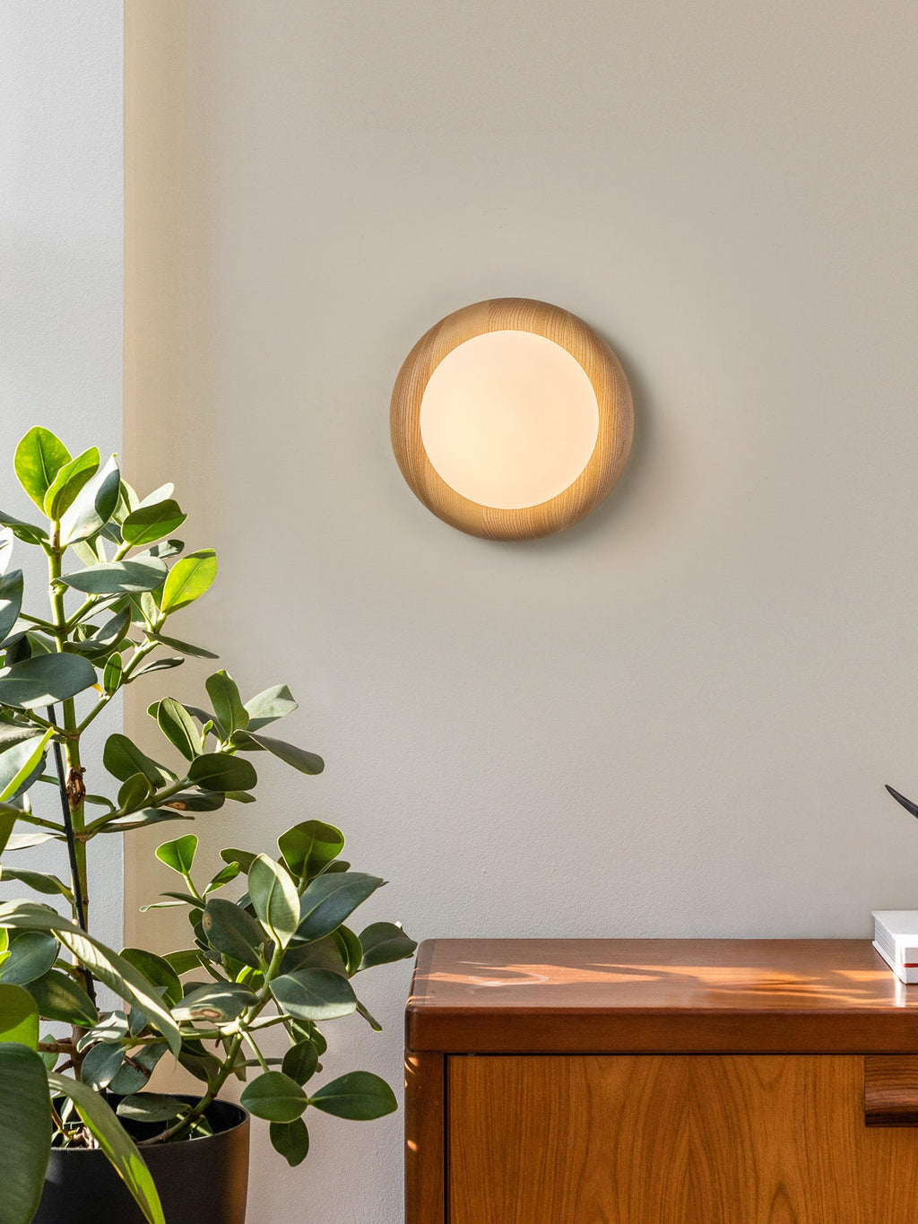 Frosted Globe Sconce — Wall Sconce | Maison Monashee — view 2