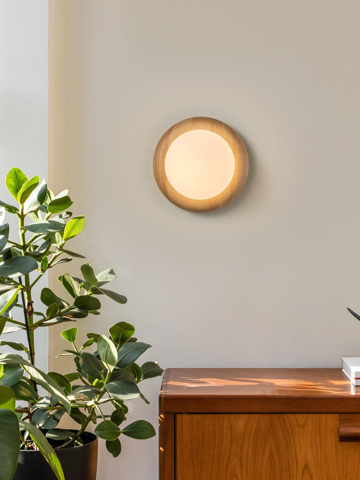 Frosted Globe Sconce — Wall Sconce | Maison Monashee — view 2