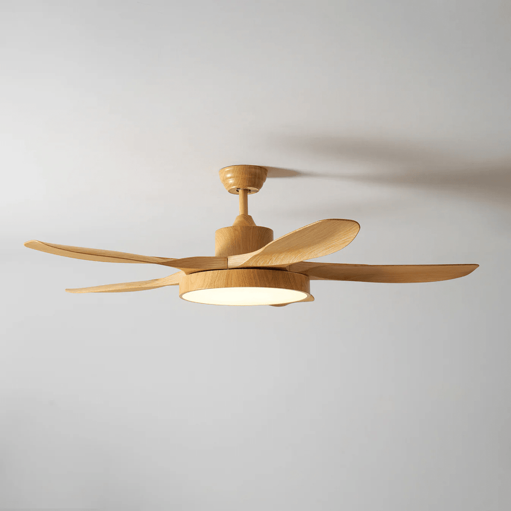Ceiling Fan with Light — Ceiling Fan | Maison Monashee — view 11