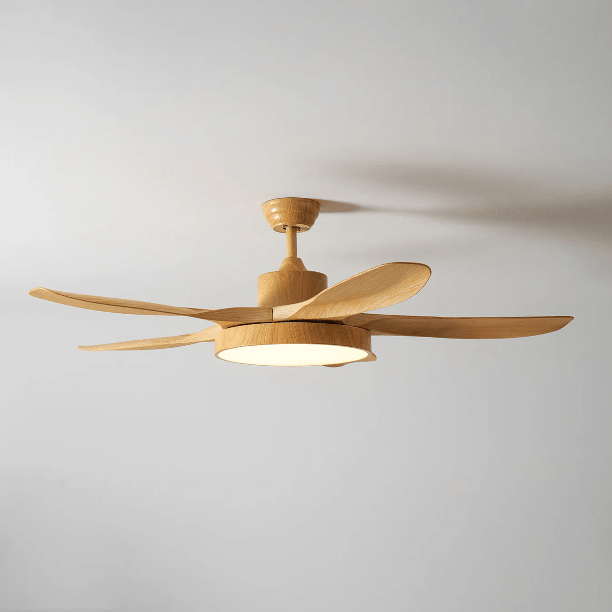 Ceiling Fan with Light — Ceiling Fan | Maison Monashee — view 11