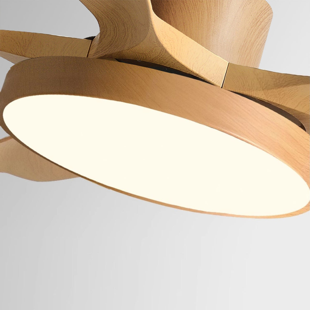 Ceiling Fan with Light — Ceiling Fan | Maison Monashee — view 15