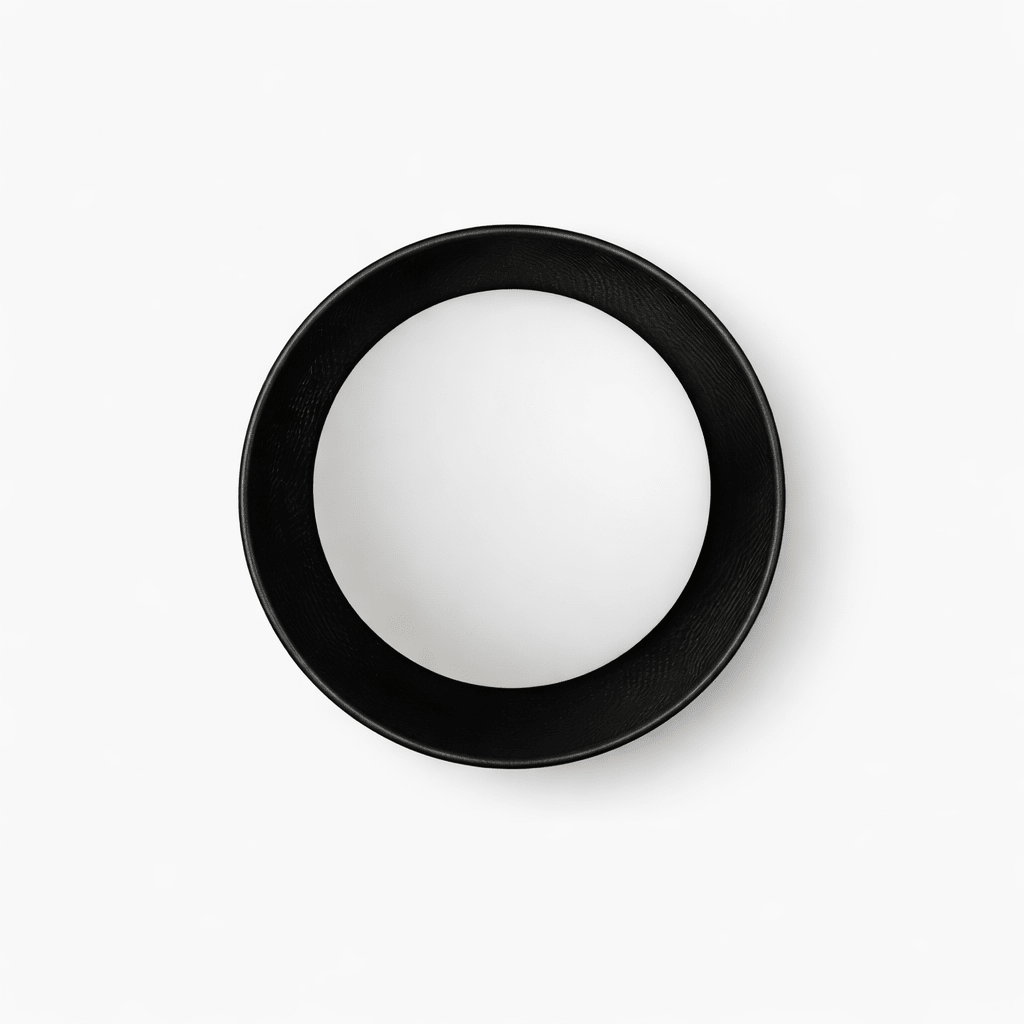 Frosted Glass Wall Light — Wall Sconce | Maison Monashee — view 8
