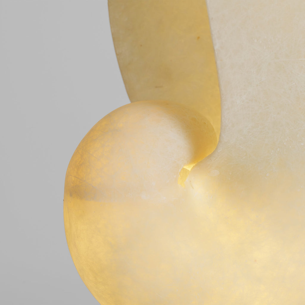 Table Lamp Shell — Table Lamp | Maison Monashee — view 16