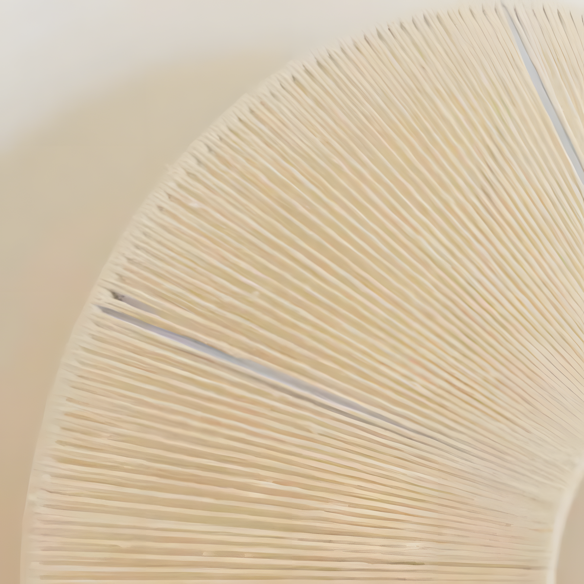 Round Wall Light Fixture — Wall Sconce | Maison Monashee — view 10