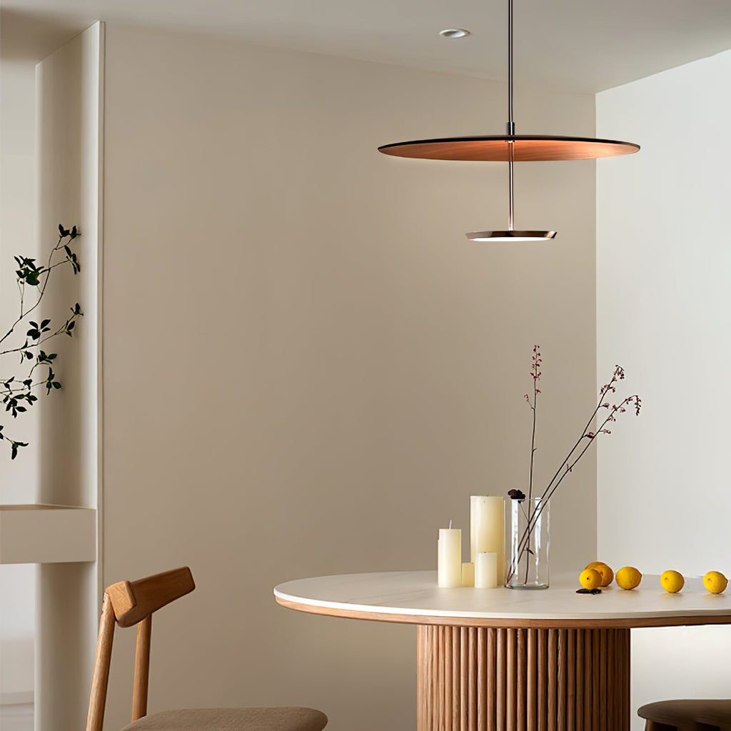 Disc Pendant Light — Pendant Light | Maison Monashee — view 4