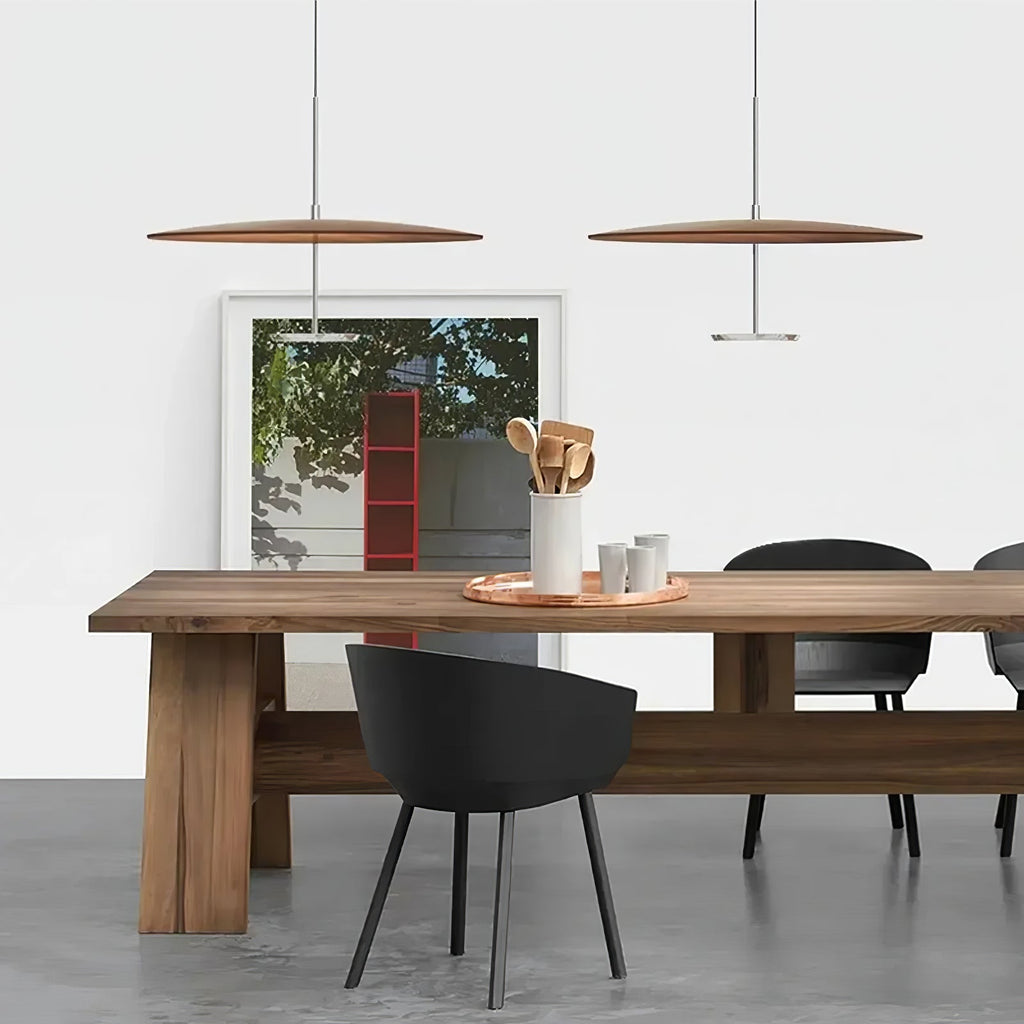 Disc Pendant Light — Pendant Light | Maison Monashee — view 3