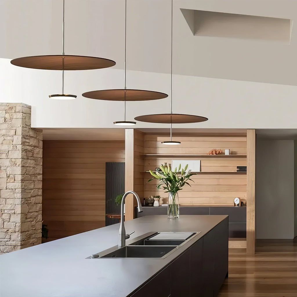 Disc Pendant Light — Pendant Light | Maison Monashee — view 2