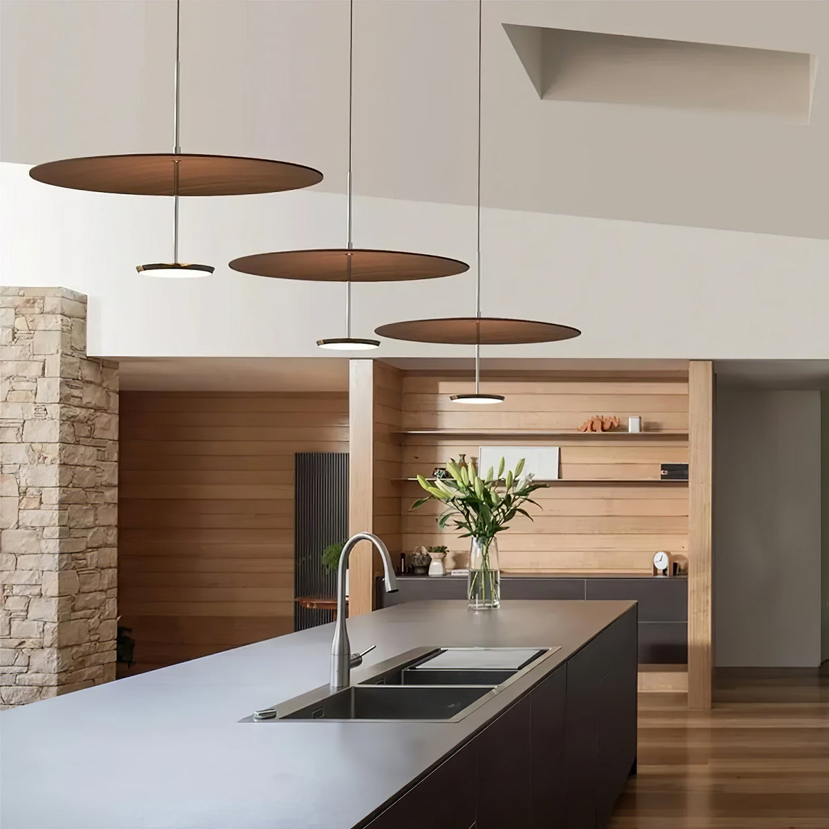 Disc Pendant Light — Pendant Light | Maison Monashee — view 2