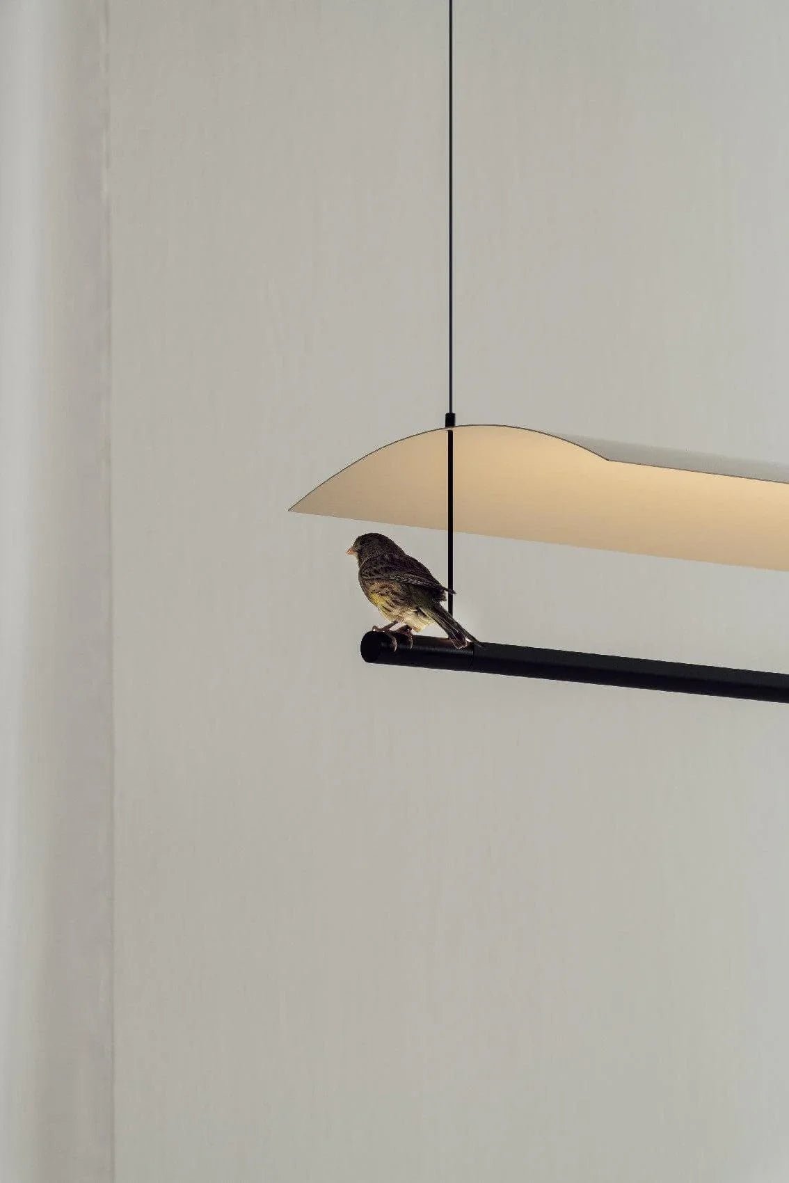 Linear Pendant Light Black — Pendant Light | Maison Monashee — view 16
