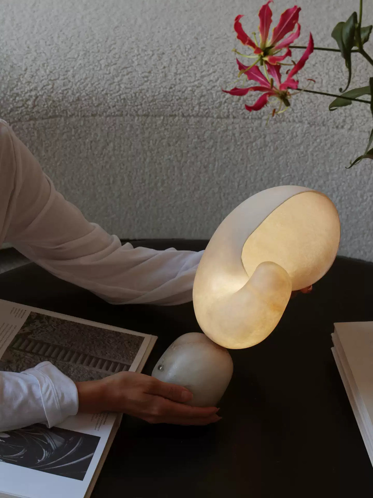 Table Lamp Shell — Table Lamp | Maison Monashee — view 5