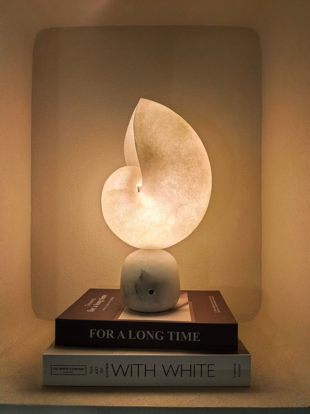 Table Lamp Shell — Table Lamp | Maison Monashee — view 4