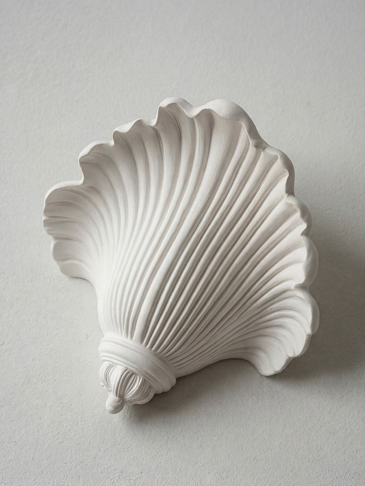 Shell Wall Sconce — Wall Sconce | Maison Monashee — view 24