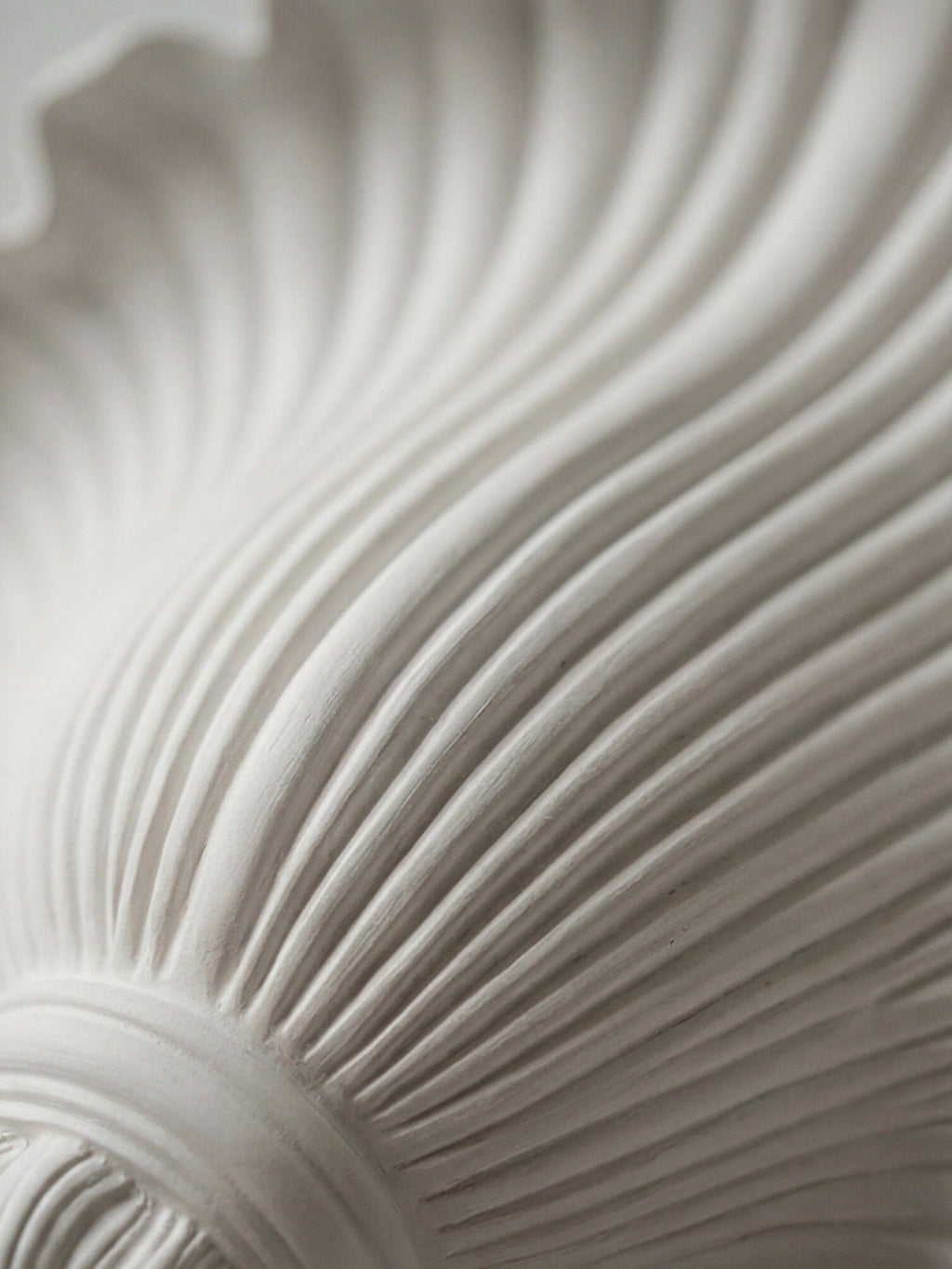 Shell Wall Sconce — Wall Sconce | Maison Monashee — view 26