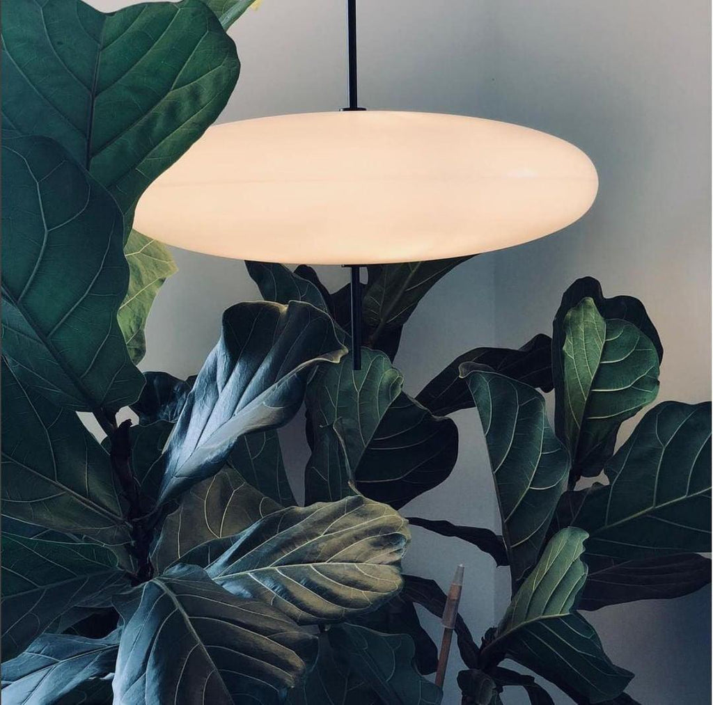 Bola Disc Pendant Light — Pendant Light | Maison Monashee — view 30