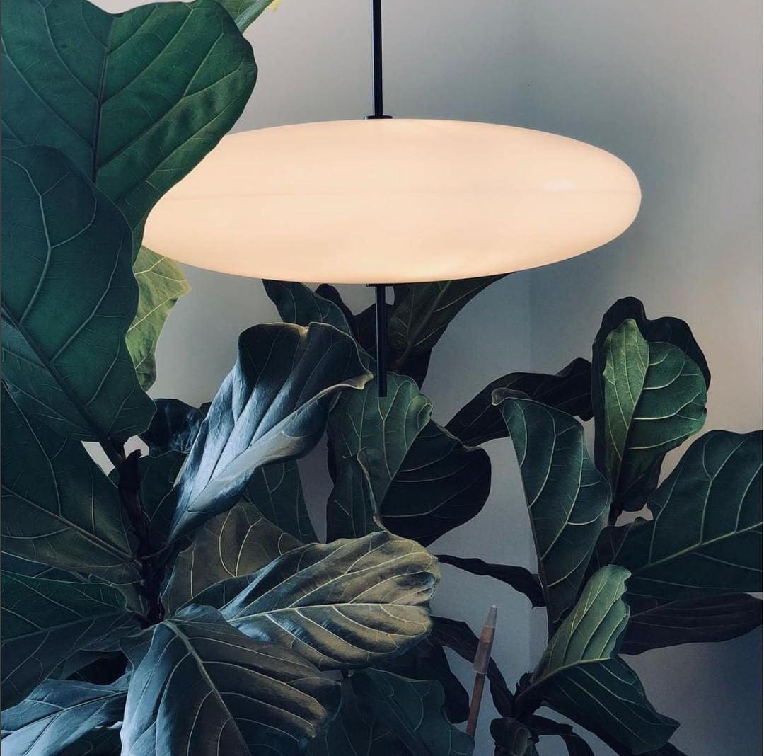 Bola Disc Pendant Light — Pendant Light | Maison Monashee — view 30
