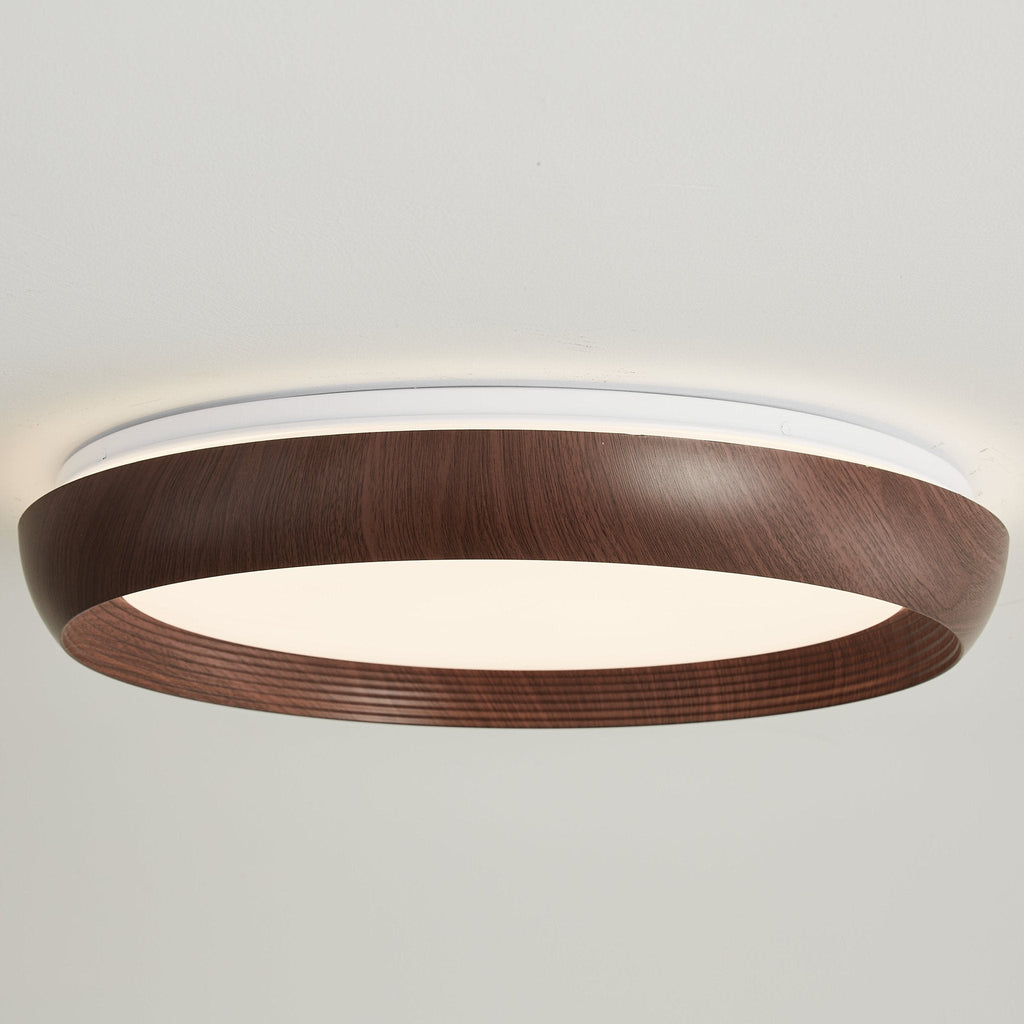 LED Ring Light Fixture — Ceiling Light | Maison Monashee — view 9
