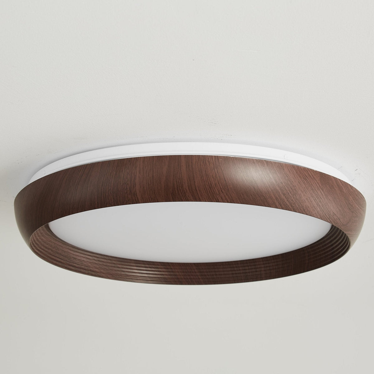 LED Ring Light Fixture — Ceiling Light | Maison Monashee — view 8
