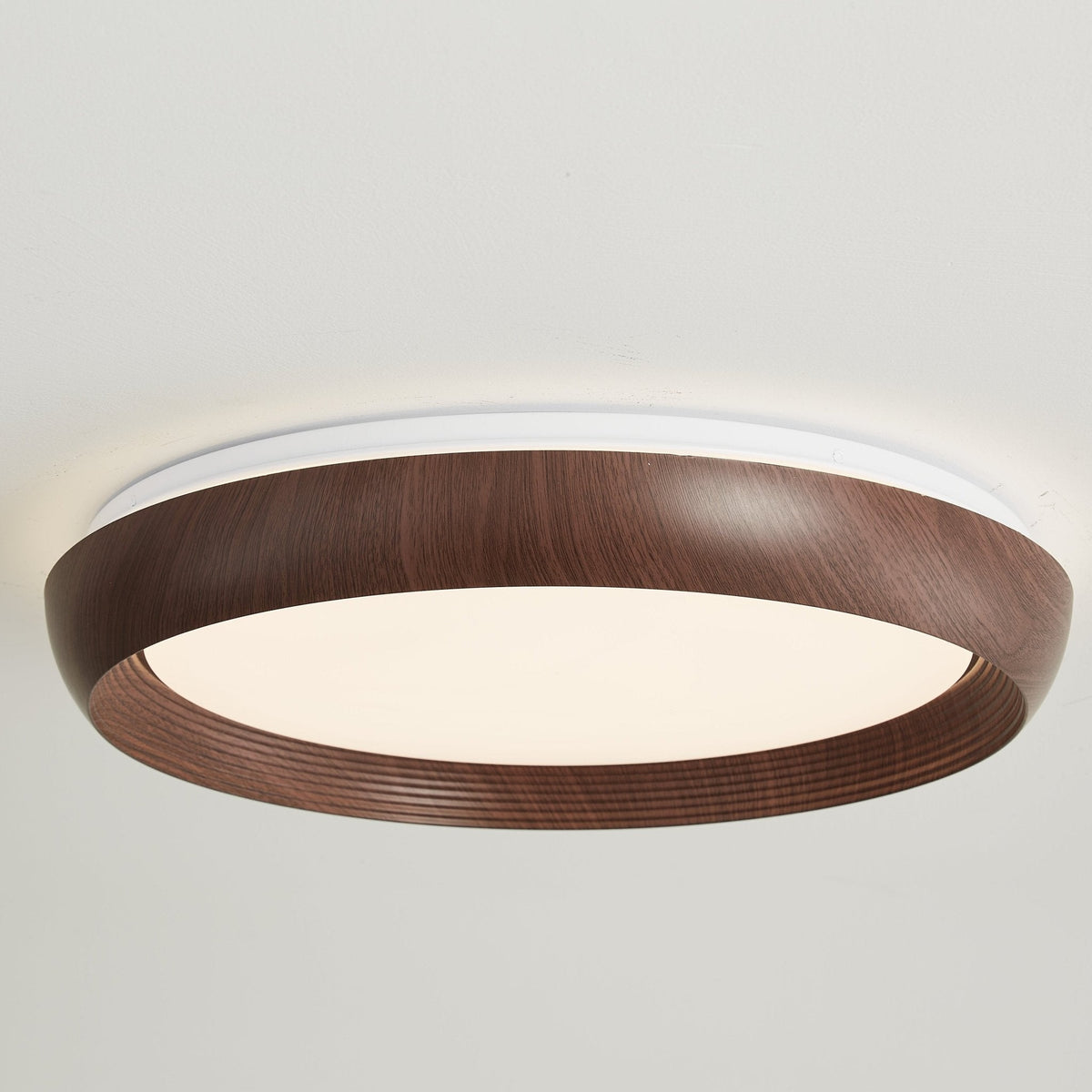 LED Ring Light Fixture — Ceiling Light | Maison Monashee — view 5