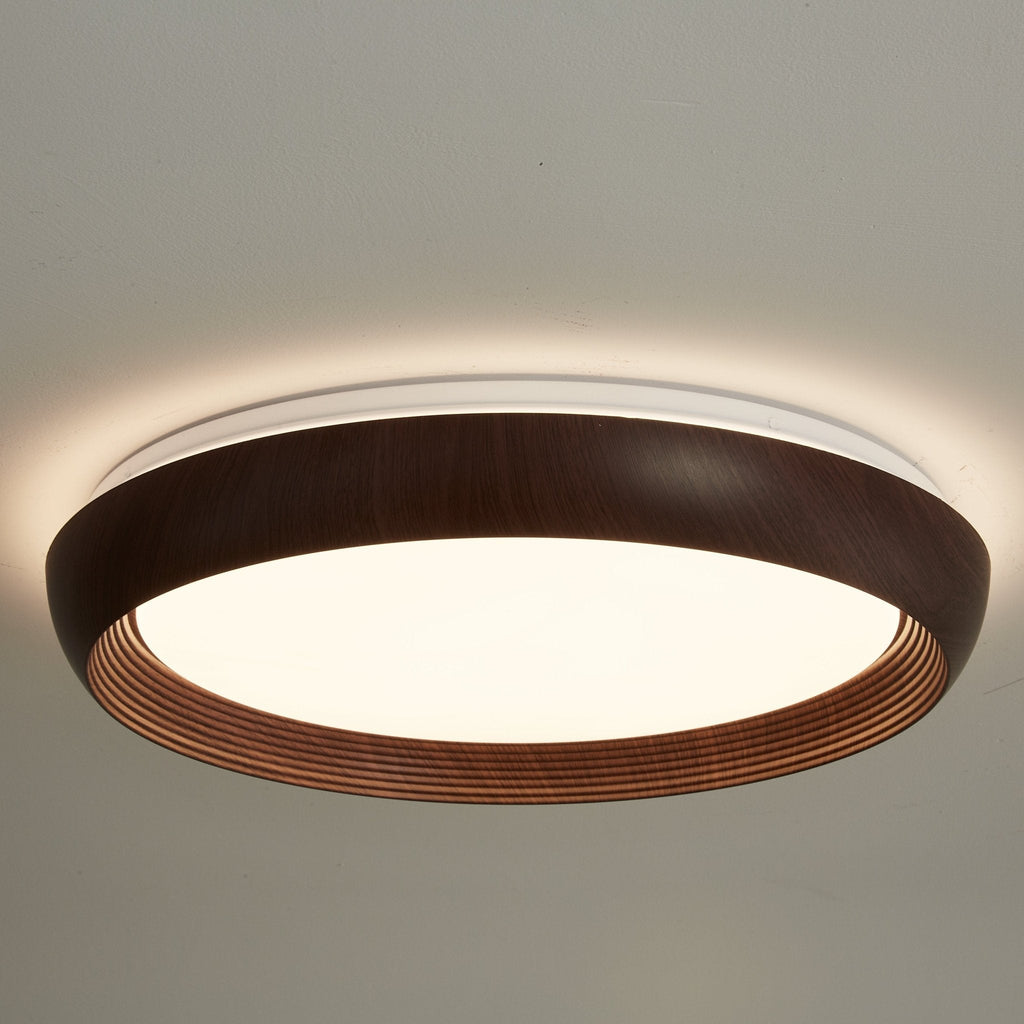 LED Ring Light Fixture — Ceiling Light | Maison Monashee — view 10