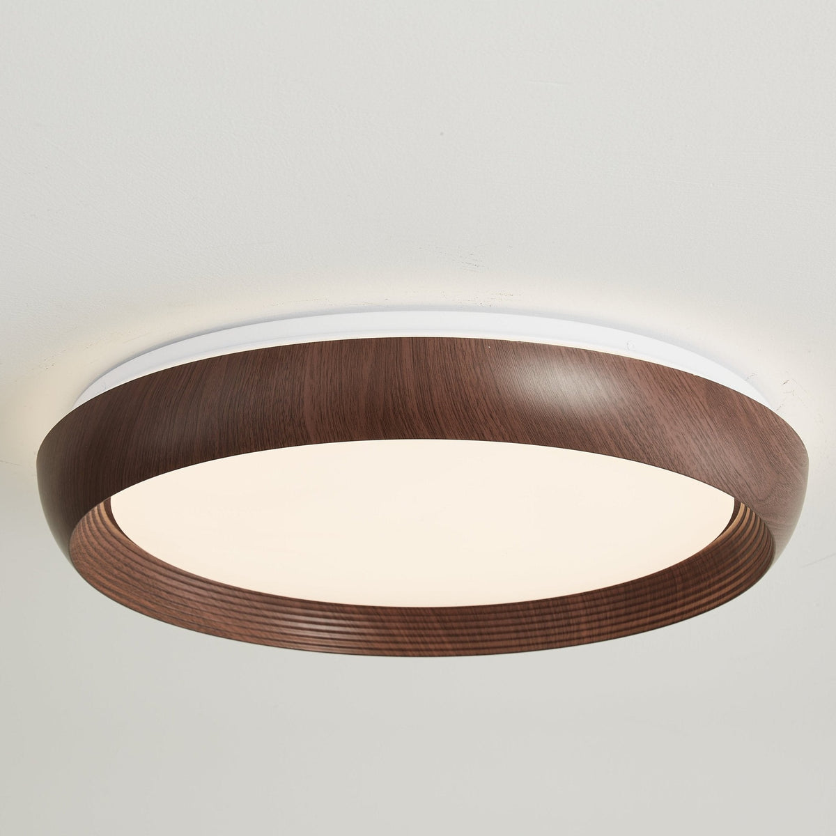 LED Ring Light Fixture — Ceiling Light | Maison Monashee — view 11