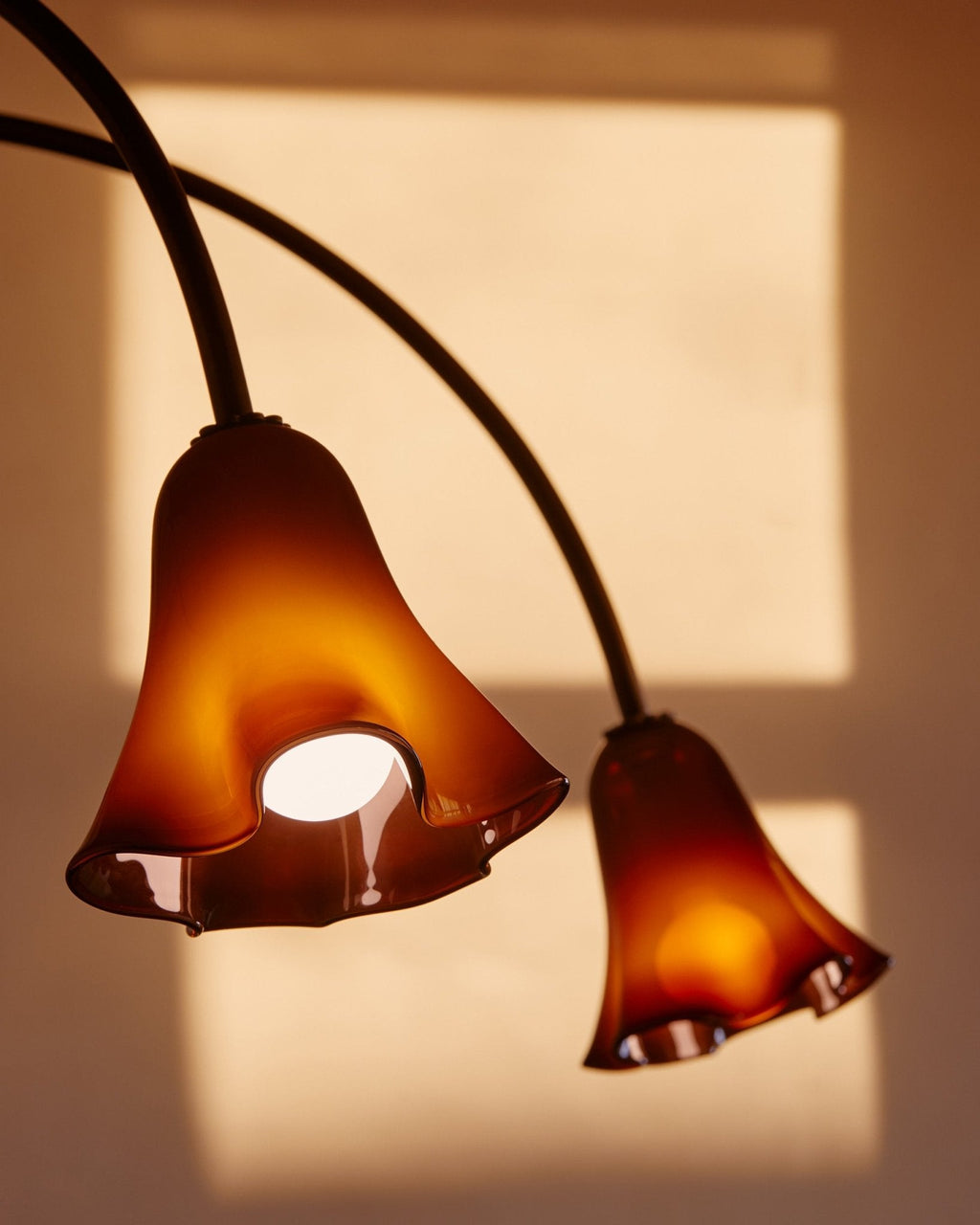 Bronze Glass Chandelier — Chandelier | Maison Monashee — view 20