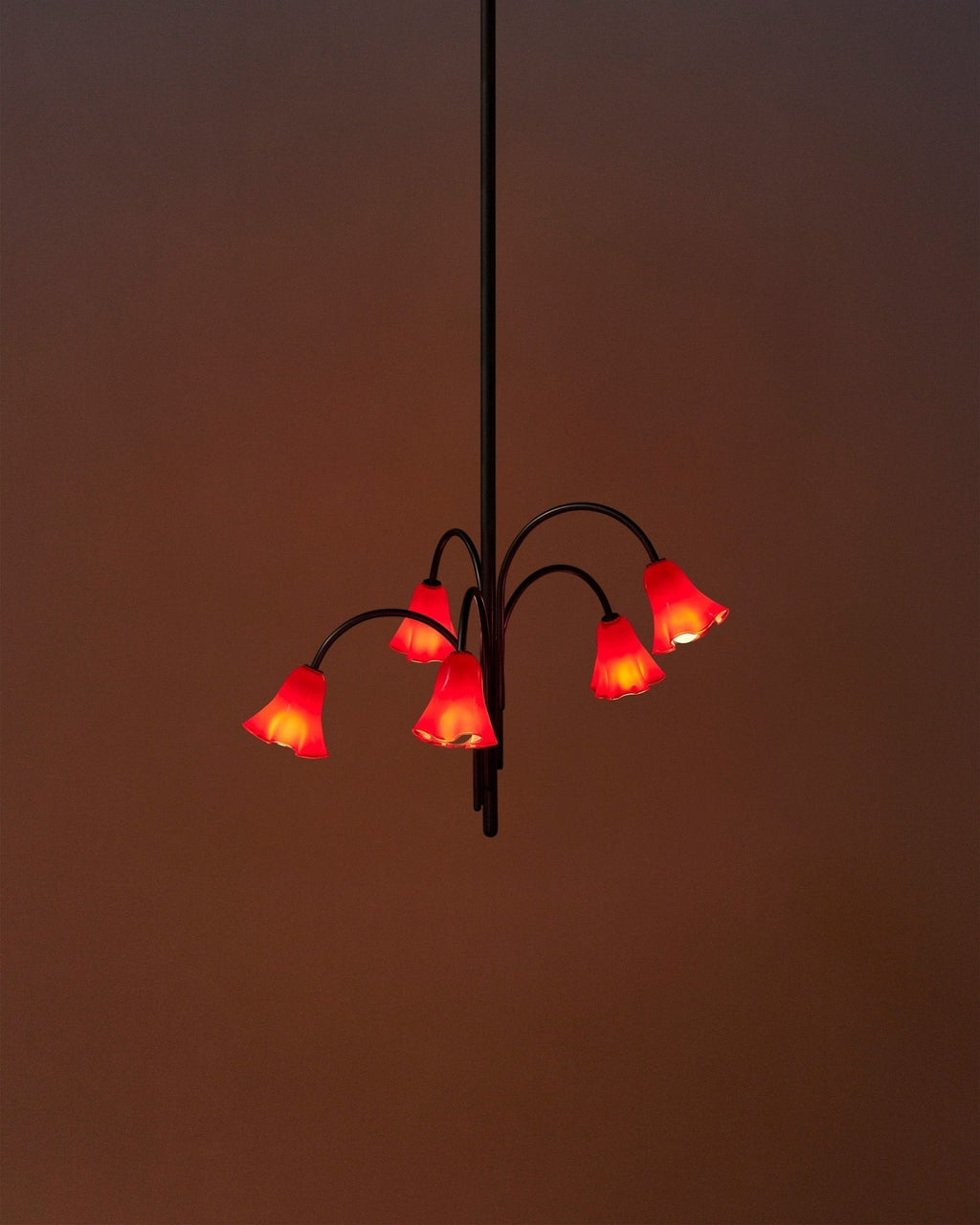 Bronze Glass Chandelier — Chandelier | Maison Monashee — view 54