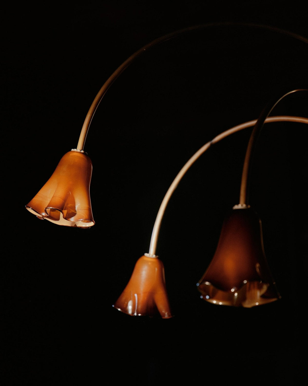 Bronze Glass Chandelier — Chandelier | Maison Monashee — view 59