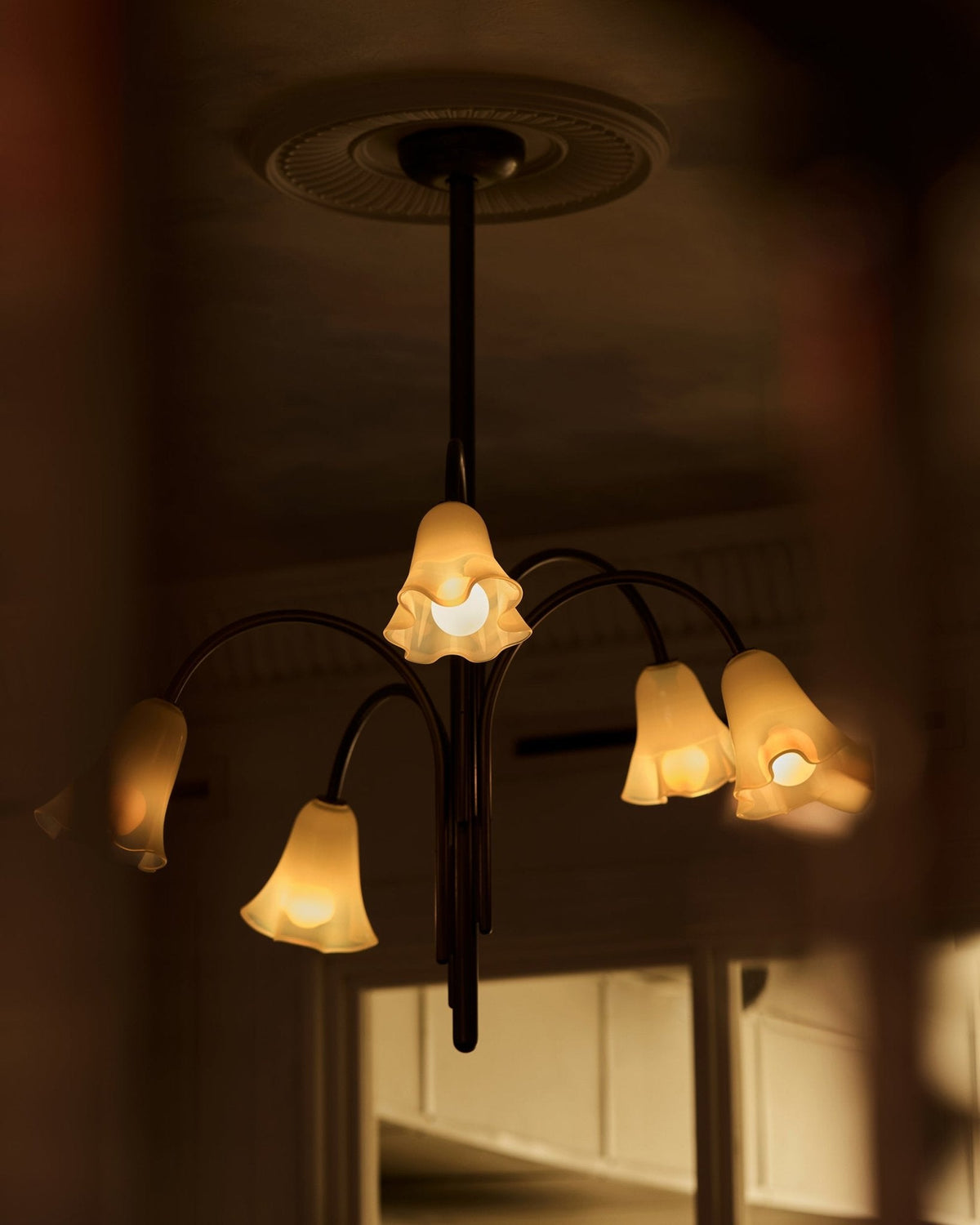 Bronze Glass Chandelier — Chandelier | Maison Monashee — view 61