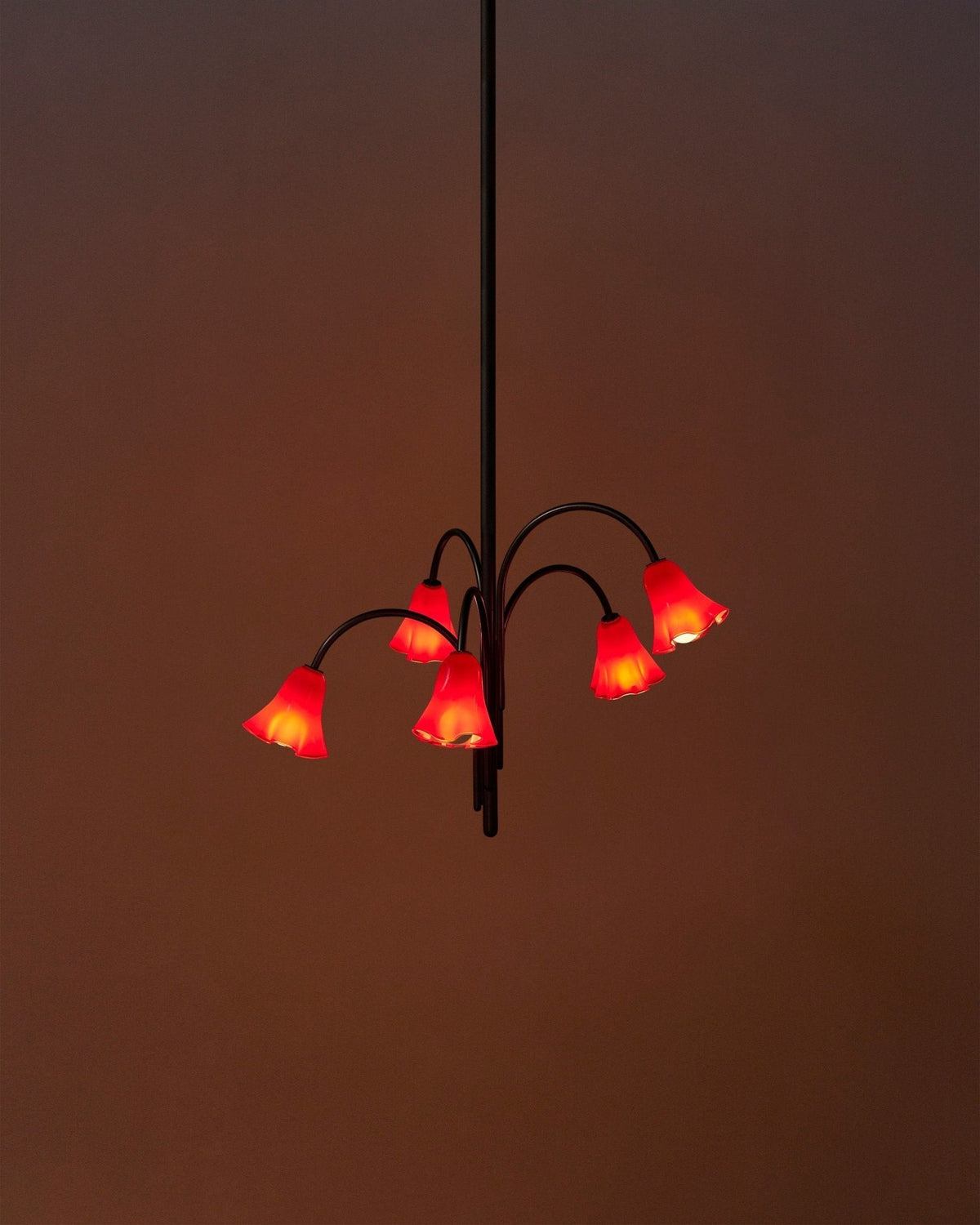 Bronze Glass Chandelier — Chandelier | Maison Monashee — view 62