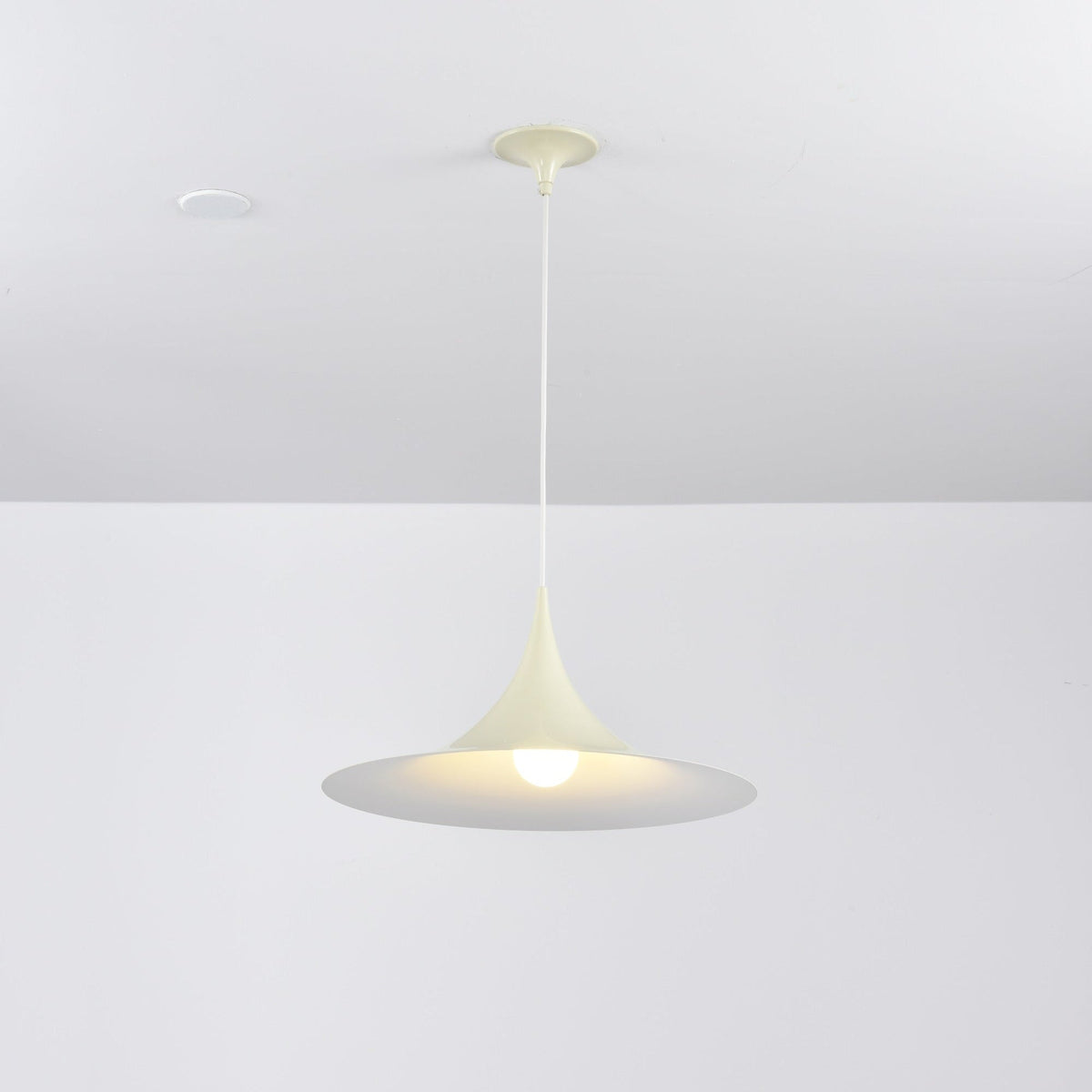 Black Pendant Light — Pendant Light | Maison Monashee — view 120